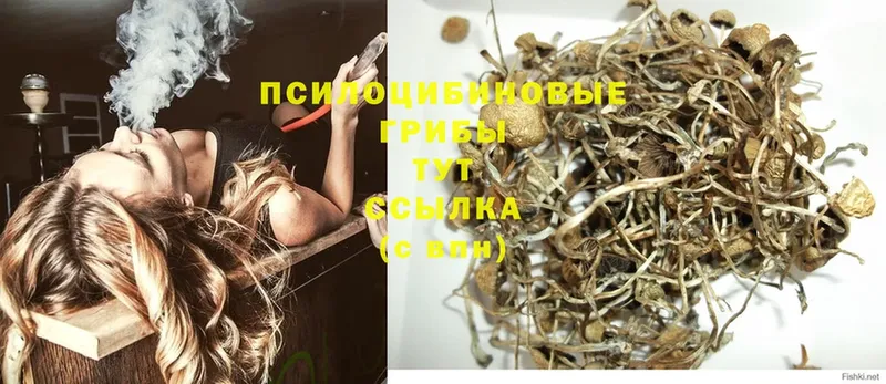 Псилоцибиновые грибы MAGIC MUSHROOMS  мега ССЫЛКА  Кореновск 